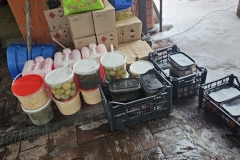 IMG_20260306_142915_485